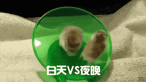 夜猫子们:再熬夜,你未老,已先呆.痴呆的呆!