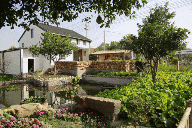 主题庭院,向美而生,扮靓美丽乡村