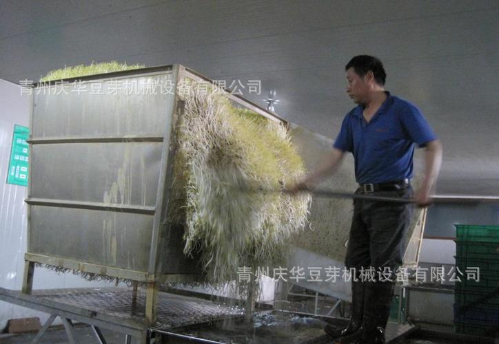 首页 供应产品 山东鑫圣阳光机械设备厂 30吨50吨80吨大型豆芽生产线