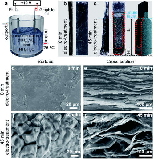 coordinating capillary infiltration with anodic oxidation: a