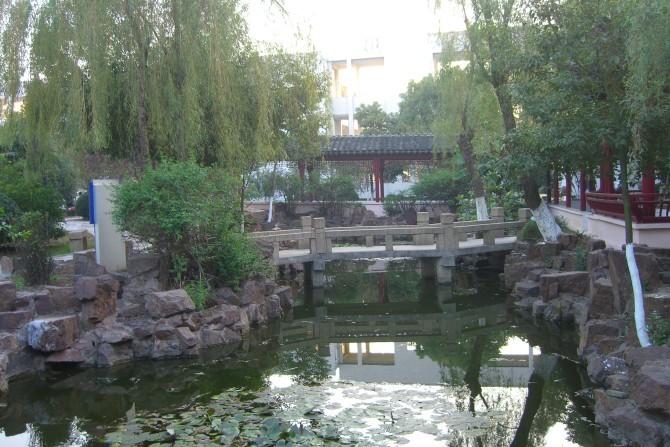 塘桥高级中学