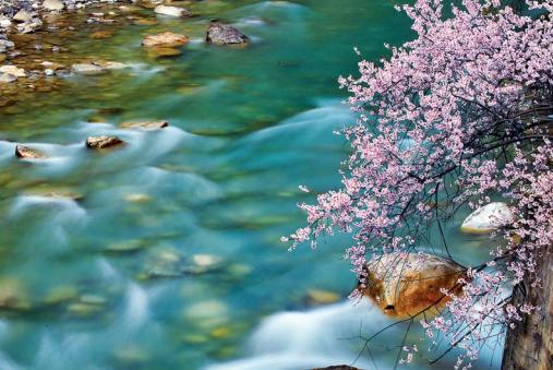 察隅:隐藏于峡谷密林的"西藏江南"