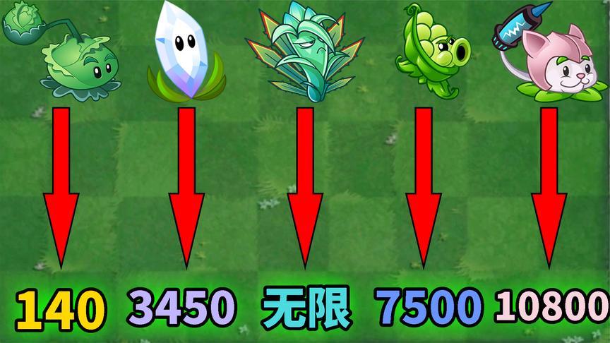 pvz2:盘点五大纯输出植物!