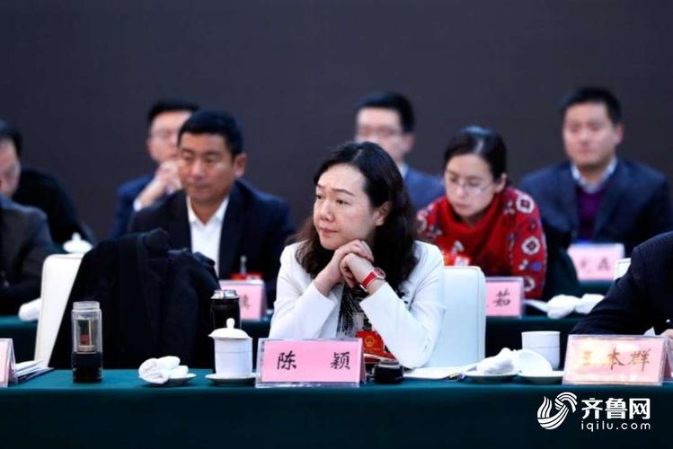 民营企业融资难在哪儿?怎样才能排忧解难?省人大代表陈颖这样说