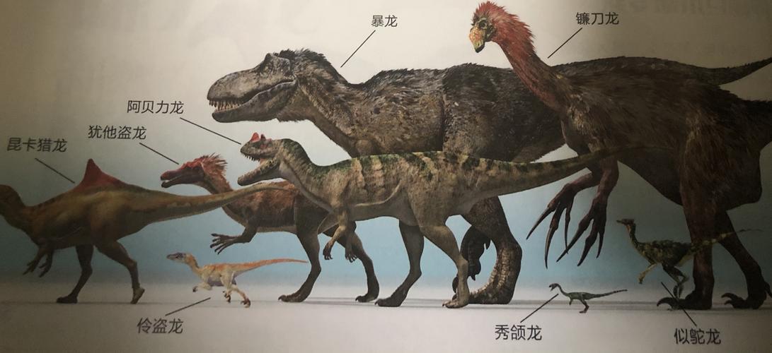 【科普】镰刀龙:戈壁三奇葩之:白垩纪的金刚狼