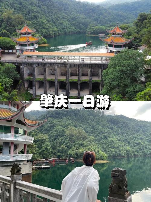 山自由行热门攻略_鼎湖山国家级自然保护区-蝴蝶肇庆将军山风景区图片