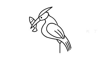 鸬鹚简笔画视频