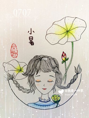 小暑_彩铅画_针管笔_设计_手绘_针管笔彩铅画_文化