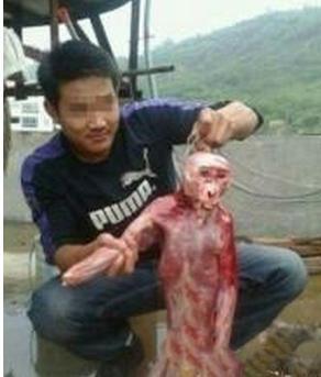 广东水库抓到水鬼真实身份吓一跳 水鬼是什么梗外星人