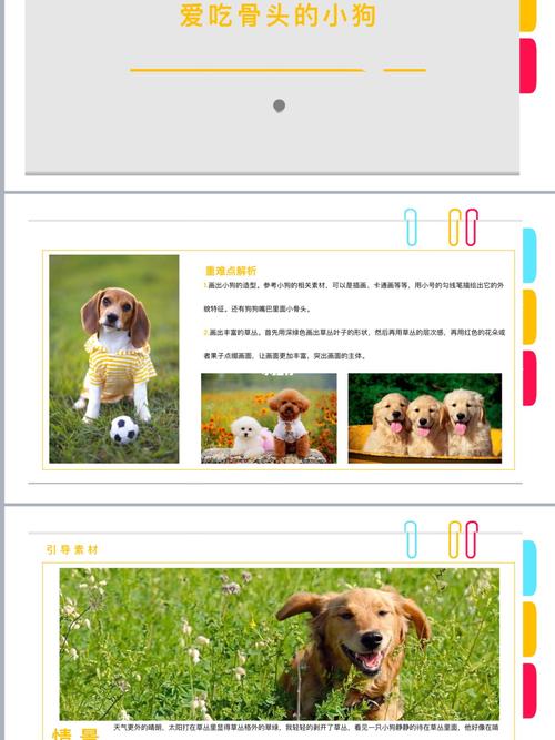 爱吃骨头的小狗 美术ppt课件_美术_ppt_狗狗_教育