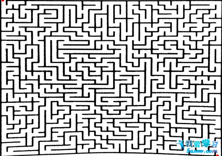 如何从迷宫图片中找出入口和出口的位置