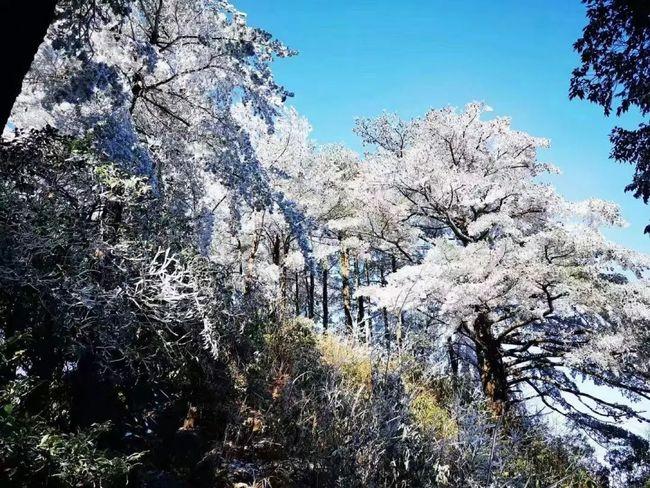 五里亭大桥 而韶关市区周边县城更是飘起了小雪 乐昌九峰 仁化红山