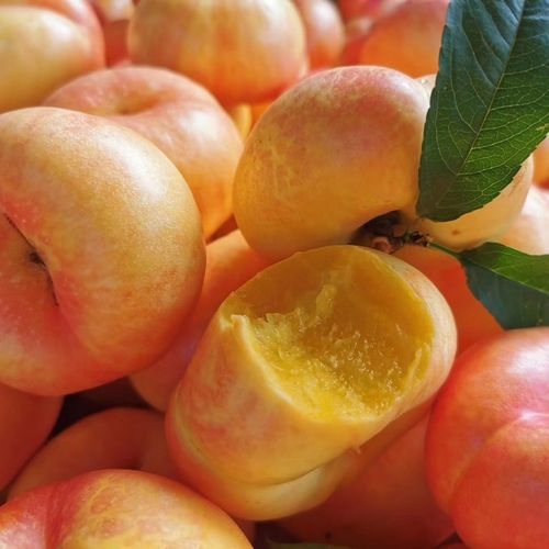 【石头妈】油蟠桃 4斤装9--12个