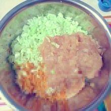 肉泥和菜碎混合,加五小勺盐,一大勺料酒,半勺老抽,半勺色拉油,用调羹