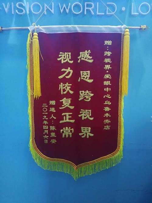跨视界爱眼中心公益行之113中学