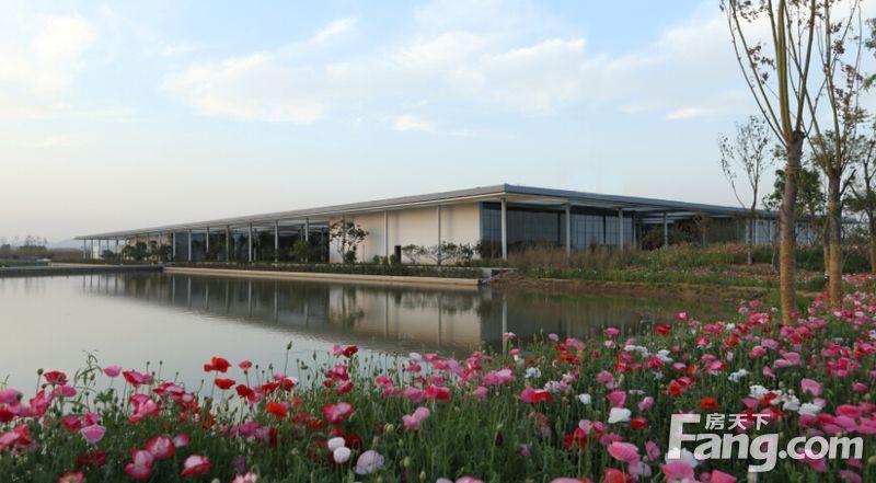 白鹭湾文化中心—日照市的文化名片