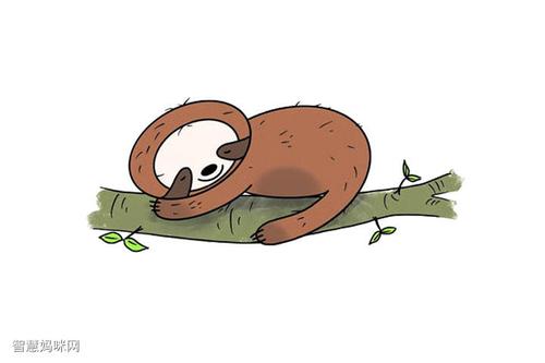 可爱树懒怎么画