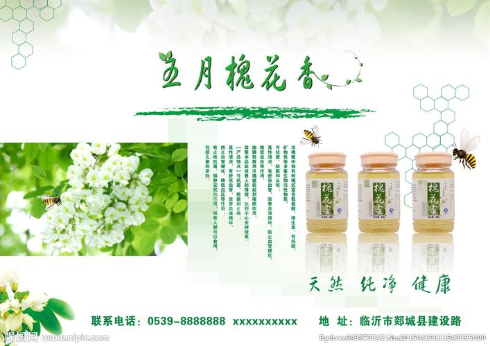 五月槐花香图片