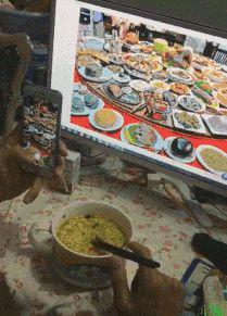 搞笑趣图:爸,你别逗了,揍我的时候能不能严肃点?