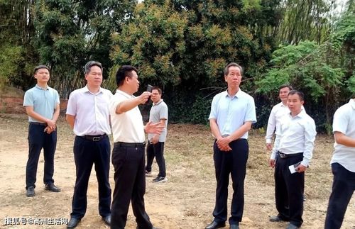 高州这个镇要重点发展旅游产业了_曹