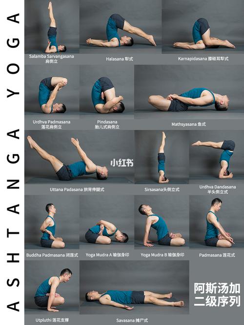 收藏阿斯汤加二级序列最全版本动作77体式