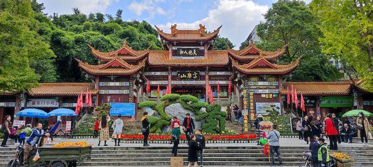 绵阳富乐山公园观菊花展