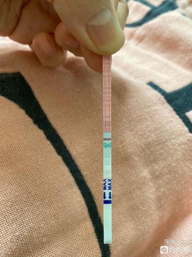 排卵后第7天,排卵试纸大白板,没戏了吧