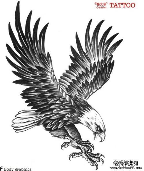 老鹰纹身图案大全