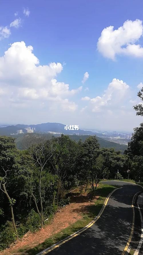 油麻山_景点_黄埔油麻山森林公园攻略_出行_人文风光展示_自然风光