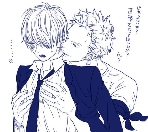 急求索隆x山治的日站同人图!