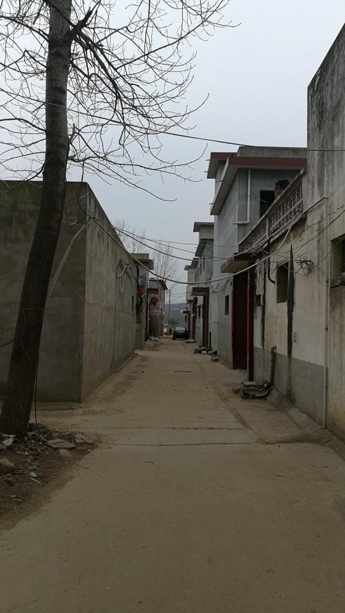 河南省南阳市卧龙区蒲山镇张营学校天气预报