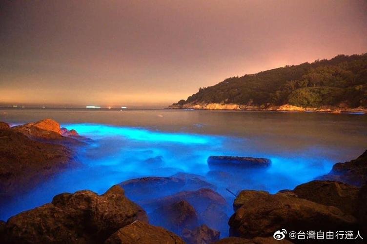 为「东洋水」,「丁香水」或「蟹膏水」,渔民凌晨出海时所见的发光海水