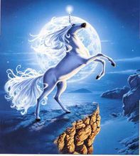 独角兽(头顶正中长有一支单角的动物)