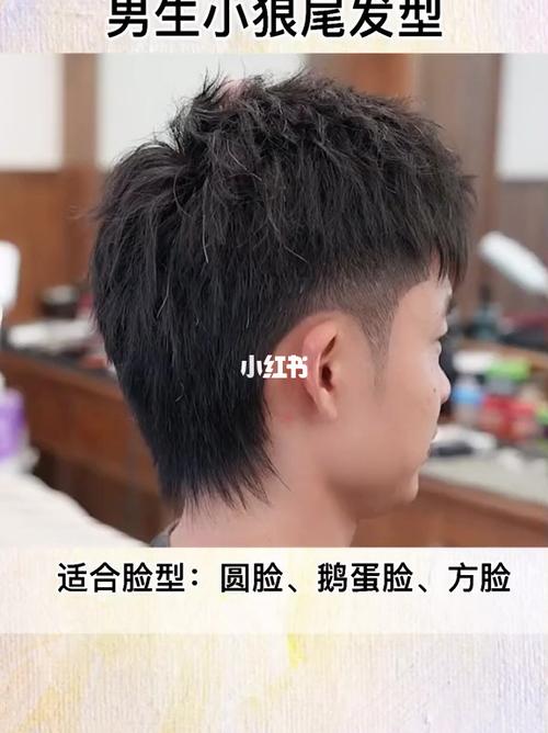 男生小狼尾发型_发型_狼尾_脸型_潮流_潮流发型