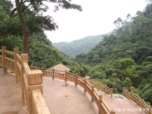 厦门市4a景区天竺山森林公园(下篇)