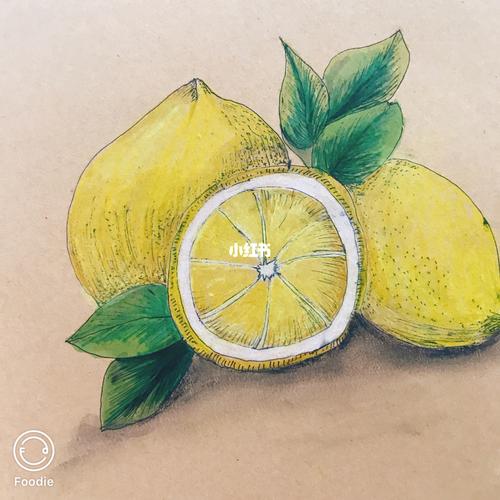 写生-柠檬_美术_少儿创意美术_文化_绘画