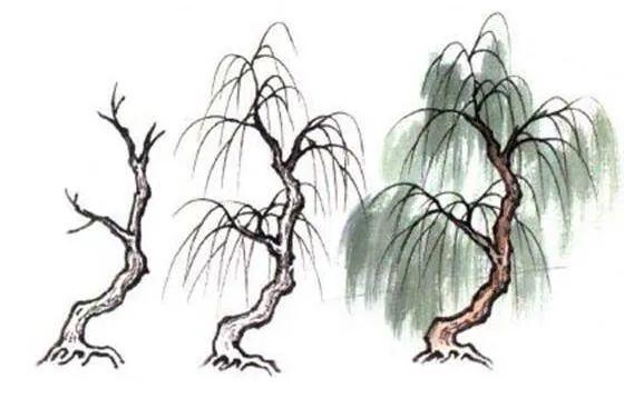 国画山水教程分享:树的各种画法