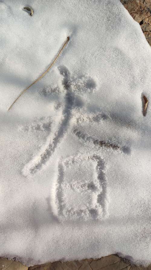 雪地送"福"啦!