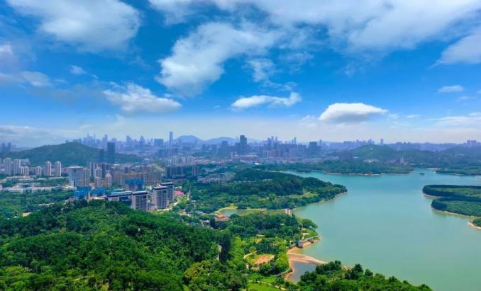 正文 深圳南山区石壁龙片区 石壁龙片区位于西丽湖国际科教城 该重点