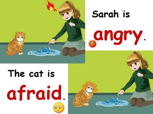 sarah is angry. afraid. the cat is