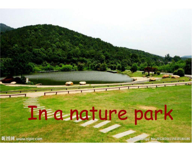 新版pep五年级unit6 in a nature park part a.ppt