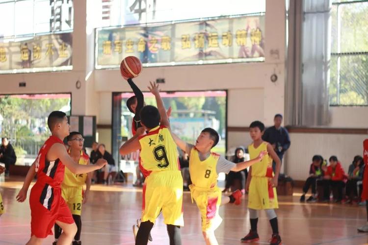 草塔初级中学诸暨二中近日,教育部公布了2019年全国青少年校园篮球