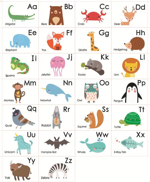 26张塑封防水 动物字母英语单词学习闪卡片 flash cards