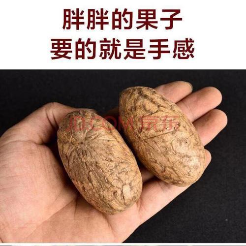 千眼菩提原籽超大原料菩提果菩提籽菩提子手串红绿果彩果菩提手把件sn