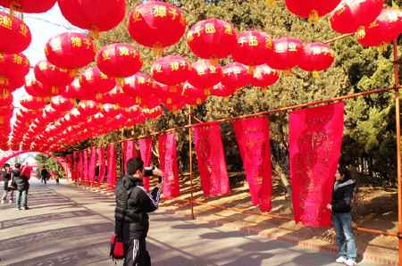 大连元宵节举办"元宵佳节闹花灯"活动