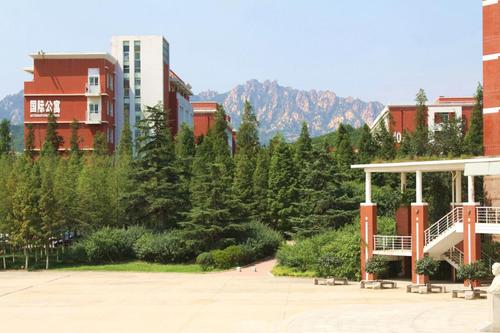 青岛技术职业学院