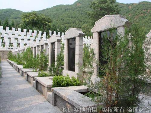 盘龙台公墓龙腾立碑