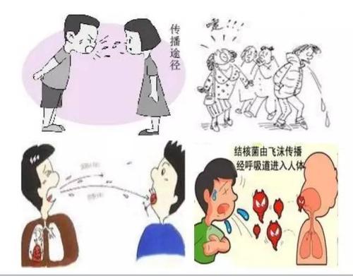 结核病的传染途径