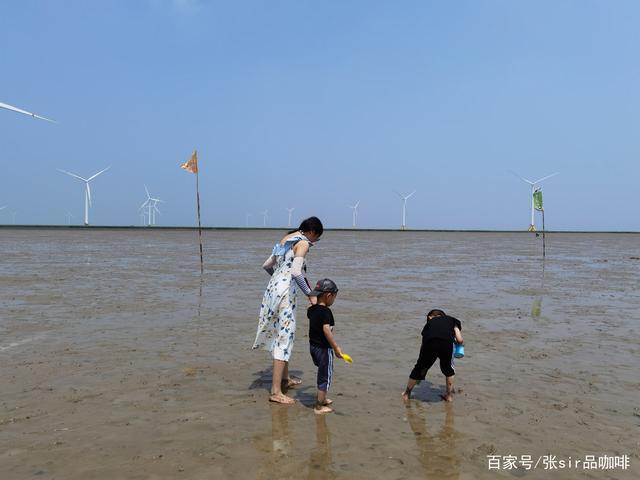 小洋口港风景区海上迪斯科剪影