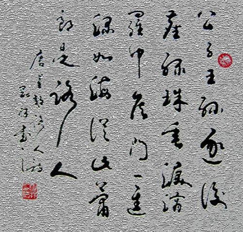 赠去婢